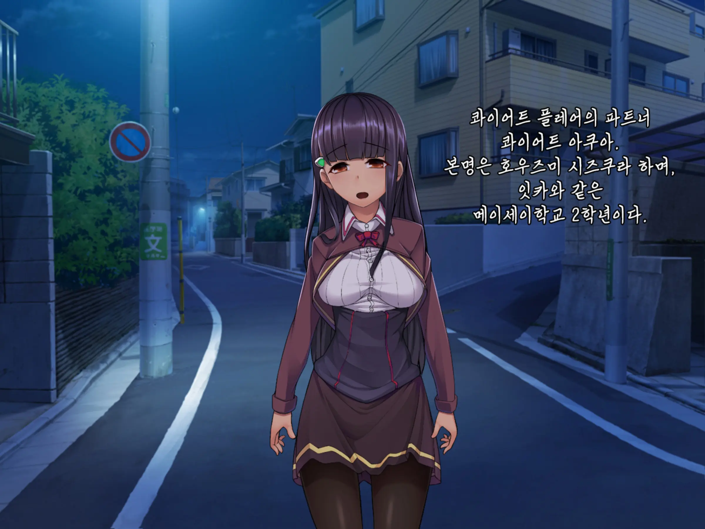 Twin Quiet -Shinsou Sennou Yugamerareta Seigi- | 트윈 콰이어트 -심층세뇌 왜곡당한 정의-